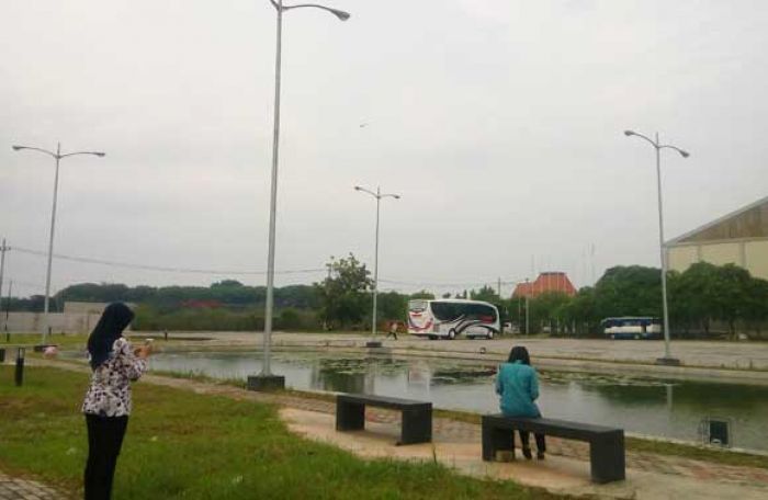 Penghijauan di Komplek Raci Tunggu P-APBD