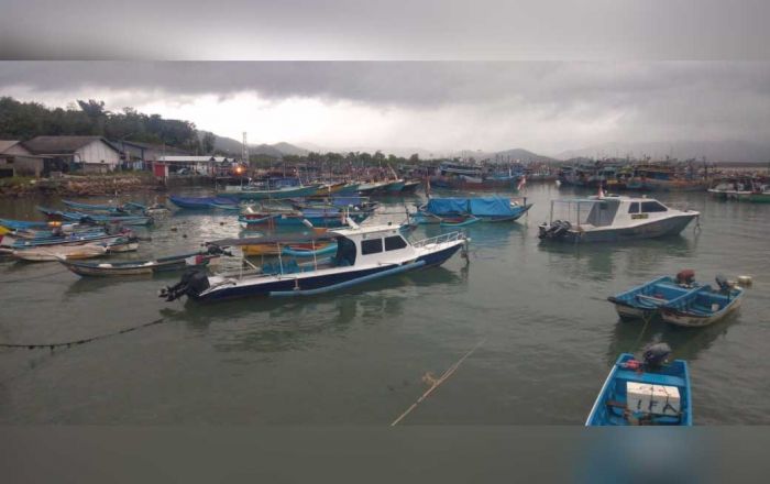 Angin Kencang Capai 59 Km/Jam di Wilayah Perairan Pacitan