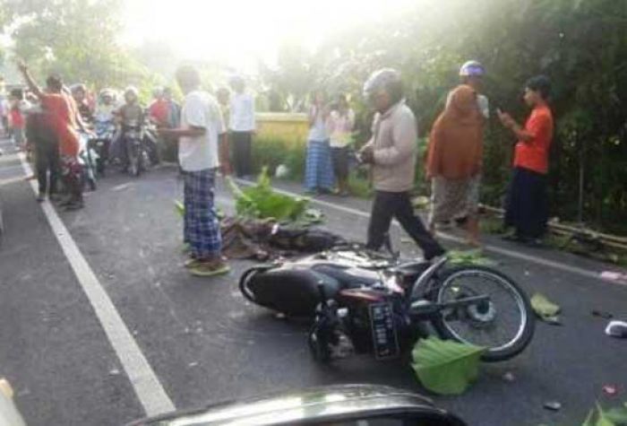 Sepeda Motor Vs Micro Bus di Jalan Raya Tambung, Satu Orang Tewas