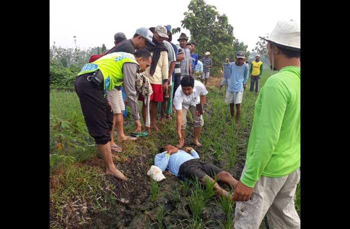 Lagi, Warga Ngawi Tewas Kesetrum