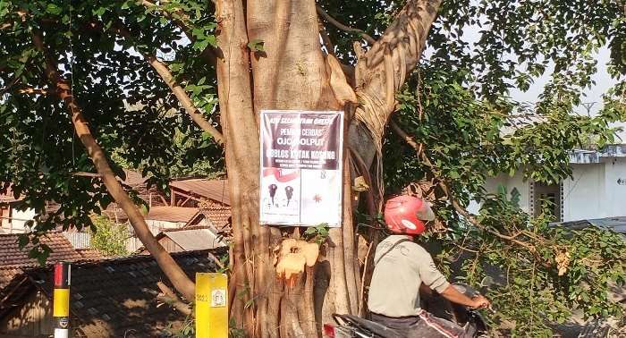  Poster Ajakan Coblos Kotak Kosong Bertebaran di Kabupaten Gresik