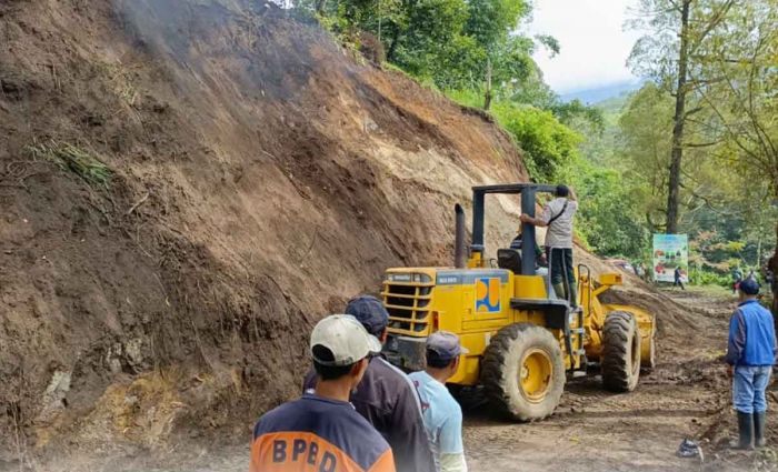 Hujan Deras Sebabkan Longsor dan Pohon Tumbang di Kota Batu dalam Sehari