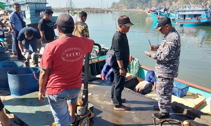 Angin Kencang, Nelayan di Pacitan Diimbau Waspada dan Berhati-hati