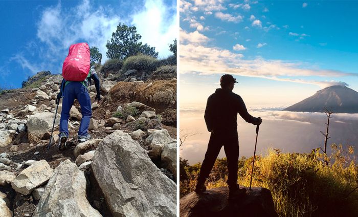 5 Fungsi Trekking Pole yang Jarang Orang Ketahui