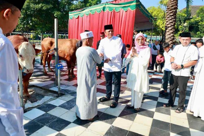 Polda Jatim Distribusikan Ratusan Hewan Kurban di Pesantren hingga Yayasan Yatim Piatu Polda Jatim Distribusikan Ratusan Hewan Kurban di Pesantren hingga Yayasan Yatim Piatu