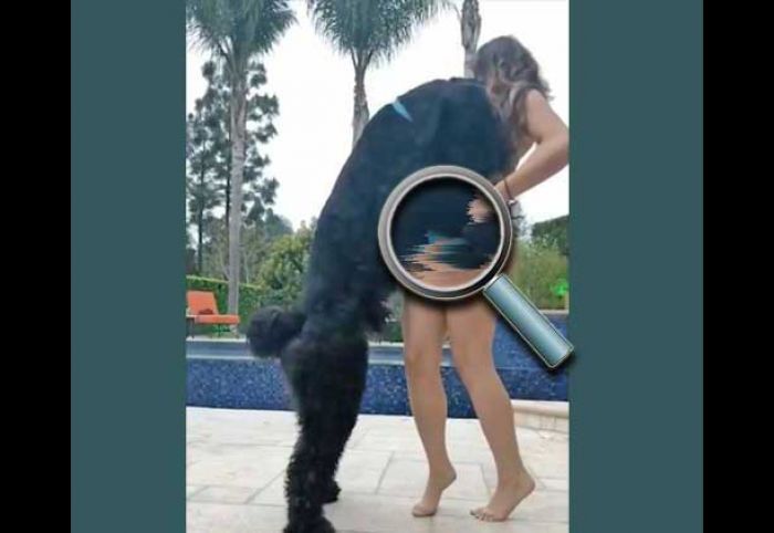 ​Model di Instagram Digugat Gara-gara Diduga Merangsang dan Memasturbasi Kelamin Anjing 