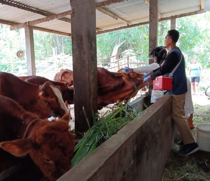 Nihil Kasus PMK, Pemkot Kediri Tetap Berkomitmen Gencarkan Vaksinasi Hewan