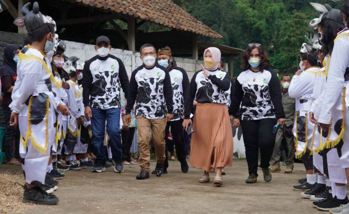Festival Susu Sapi Brau 2021, Mantapkan Dusun Brau Sebagai Ikon Kota Wisata Batu