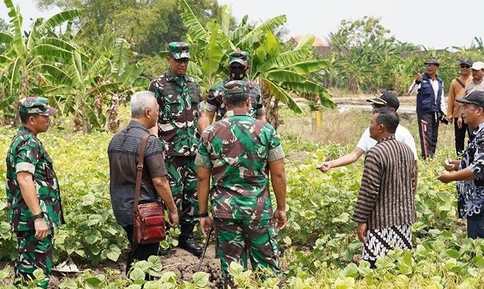 Jelang Kunjungan KSAD, Danrem 084/BJ Lakukan Peninjauan