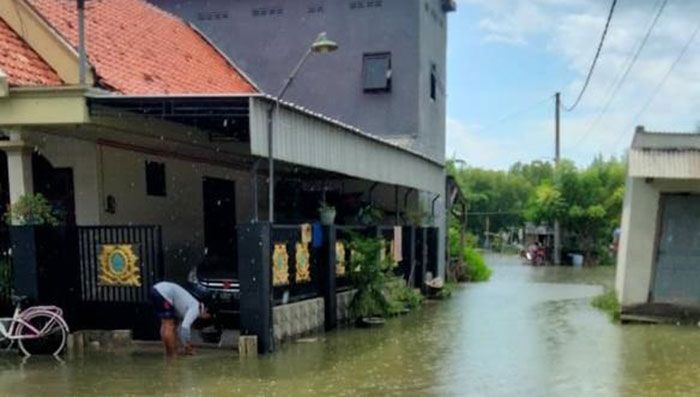 Pemerhati Lingkungan Sebut Abrasi Akibat Banjir Rob di Gresik Capai 5 Km² dalam 15 Tahun