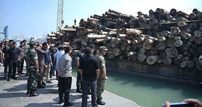 BPKP Apresiasi Satgas PKH Ungkap Illegal Logging Rp240 Miliar di Gresik BPKP Apresiasi Satgas PKH Ungkap Illegal Logging Rp240 Miliar di Gresik