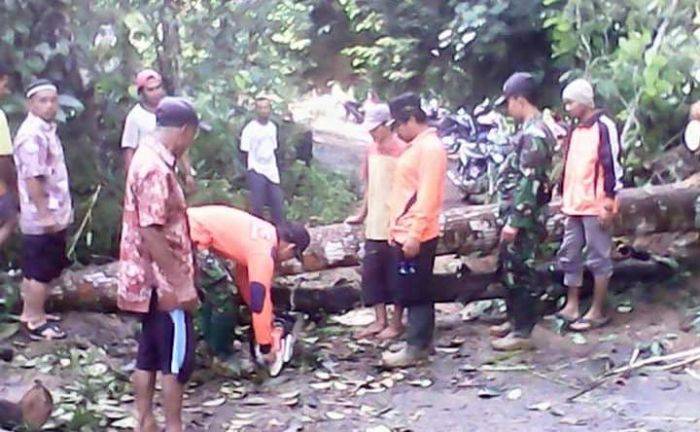 Hujan Semalaman, 10 Titik Tebing di Pule Trenggalek Longsor