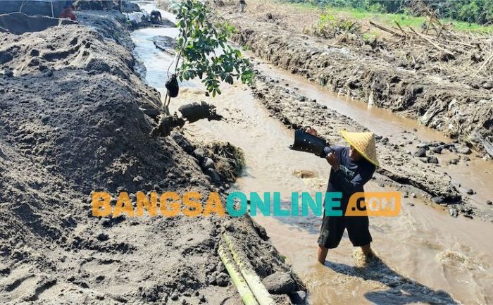  Limpahan Pasir Berkualitas dari Gunung Kelud