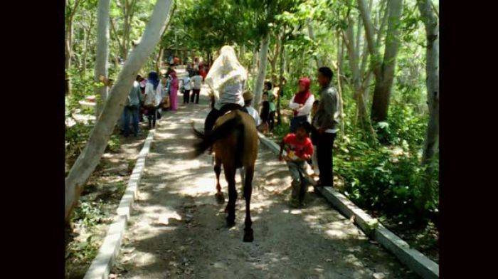 Hutan Kota Trenggalek Mulai Jadi Tujuan Wisata, Pengunjung Nikmati Panorama Alam Sambil Berkuda
