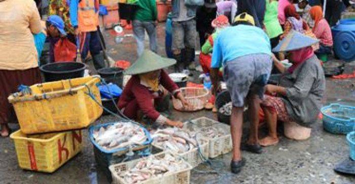 Produksi Perikanan di Lamongan Tetap Naik, Walaupun Tipis