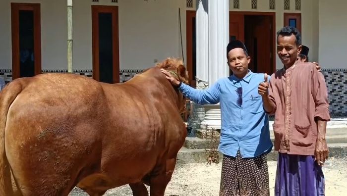Ekonomi Kolaboratif, 369 Berkah Gaet 350 Peternak Kokop dan Jual 385 Hewan Kurban di Iduladha 1446 H Ekonomi Kolaboratif, 369 Berkah Gaet 350 Peternak Kokop dan Jual 385 Hewan Kurban di Iduladha 1446 H