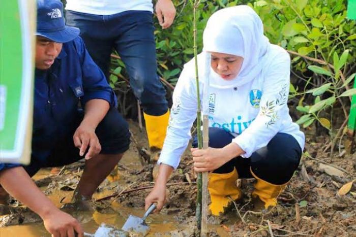 Peringati Hari Gerakan Sejuta Pohon, Khofifah Ajak Masyarakat untuk Sedekah Oksigen