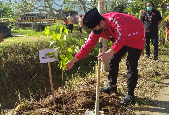 Peringati Ultah ke-48, DPC PDIP Trenggalek Potong Tumpeng Hingga Tanam Sejuta Pohon