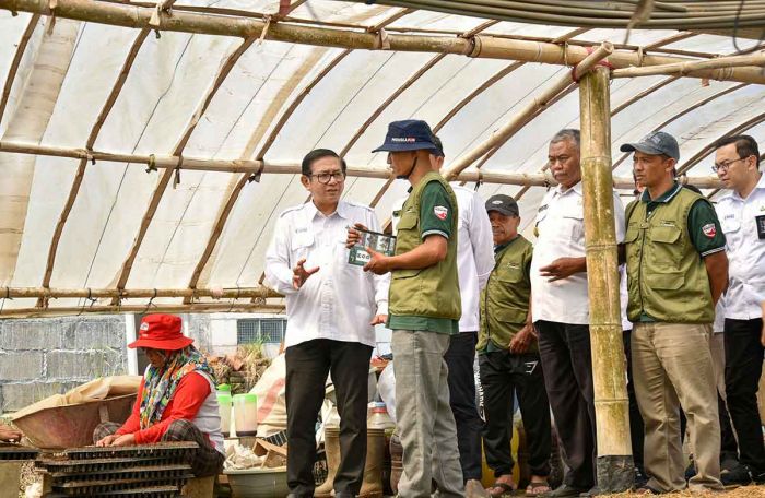 Petrokimia Gresik Wujudkan Desa Tawangargo Jadi Pusat Hortikultura Modern