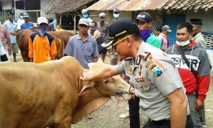 Kapolres Bondowoso Sidak Pasar Hewan