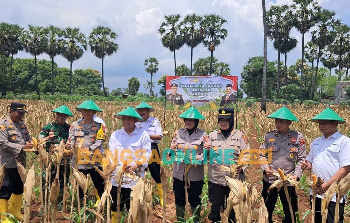 Dukung Swasembada Pangan, Kapolres Tuban Panen Raya Jagung