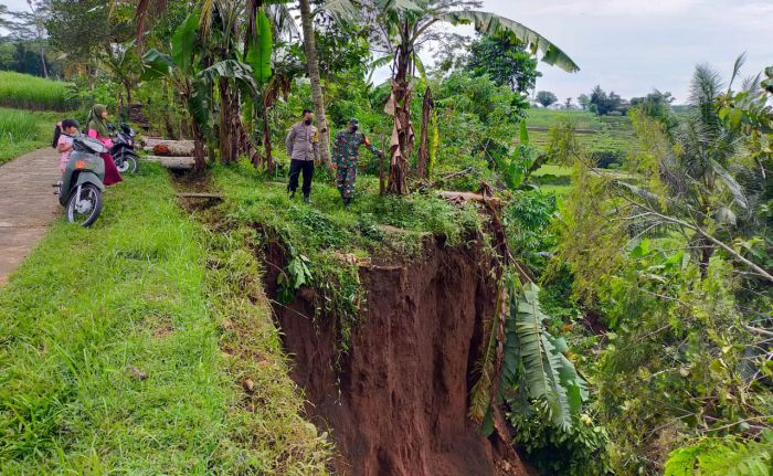 Tanah Longsor Terjadi di Dekat Jalan Penghubung Antar Dusun di Kabupaten Blitar