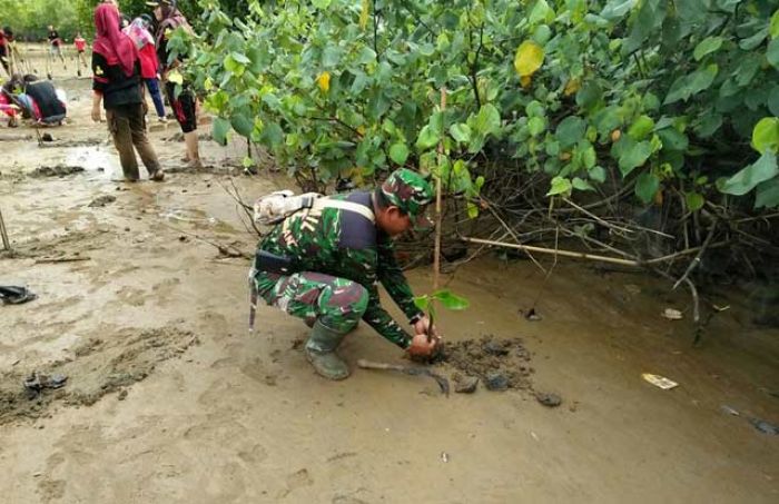 Pantai Blado, Trenggalek Ditanami 1.000 Pohon Bakau Pantai Blado, Trenggalek Ditanami 1.000 Pohon Bakau