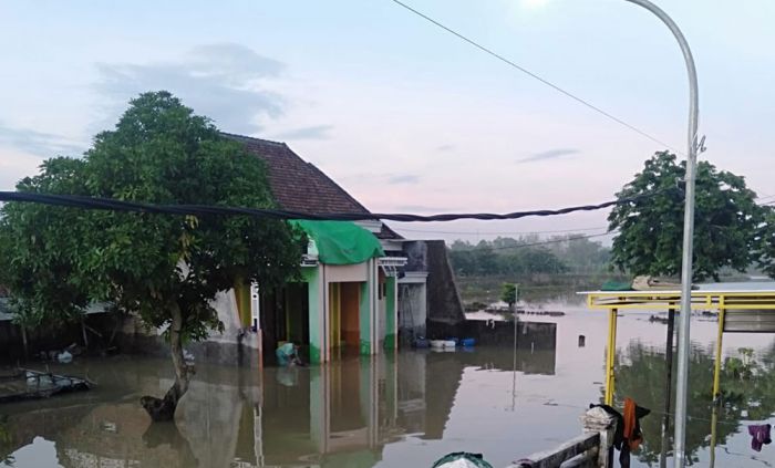 Luapan Kali Lamong di Gresik, Wilayah Kedamean Masih Terendam Air Setinggi 50 Cm