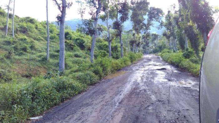  Jalan ke Tempursari Lumajang, Rusak Parah dan Berlubang