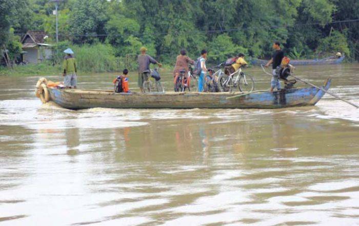 Bengawan Solo Siaga II, BPBD Bojonegoro: Bisa Naik ke Siaga Merah