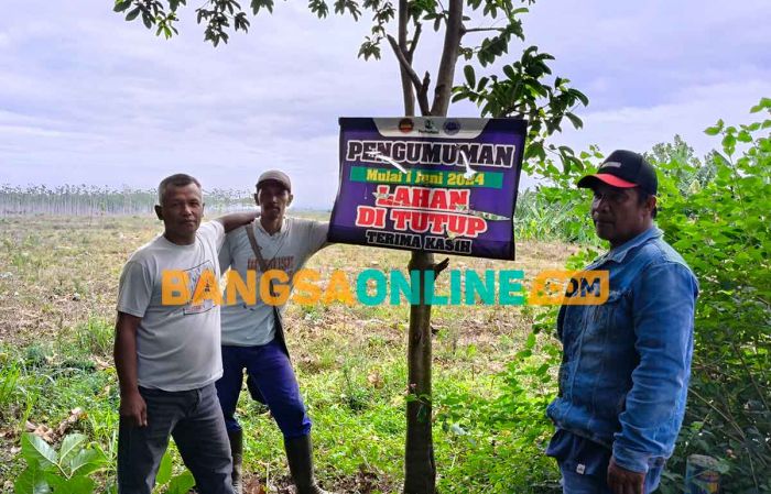 Warga Satak Kediri Bergejolak, Tuntut Hak Garap Tanah Perhutani