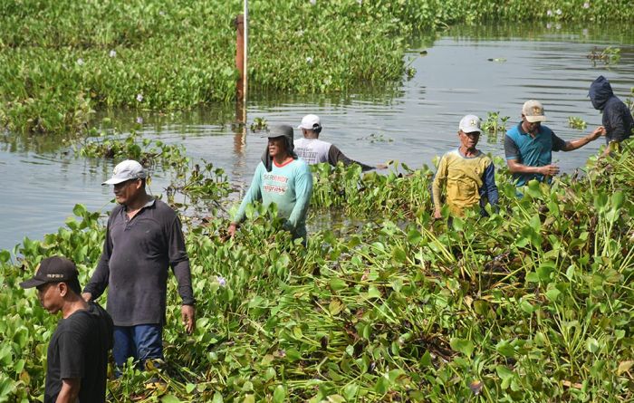 Upaya Pertahankan Swasembada Pangan, Pemkab Lamongan Siapkan Langkah Atas Kekeringan