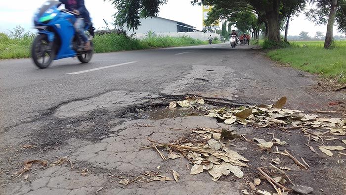 Pemkot Probolinggo Anggarkan Rp 2,3 Miliar untuk Perbaikan Jalan Rusak