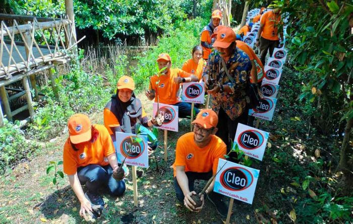 Cleo Tanam 5.000 Bibit Mangrove di Wonorejo Surabaya