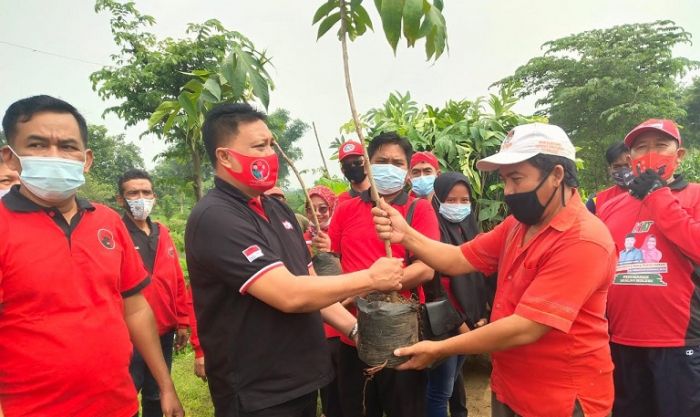 Ketum DPP Ultah Ke-74, PDIP Gresik Kado Tanam Ratusan Pohon