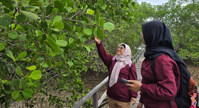 Labuhan Kuning Bangkalan Bangkit Lewat Wisata Mangrove dan Energi Konservasi PHE WMO Labuhan Kuning Bangkalan Bangkit Lewat Wisata Mangrove dan Energi Konservasi PHE WMO