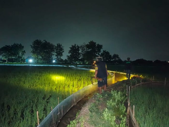 Ajak Komunitas Senapan Angin, Pemdes Gredek Gresik Gelar Festival Gropyokan Tikus Ajak Komunitas Senapan Angin, Pemdes Gredek Gresik Gelar Festival Gropyokan Tikus