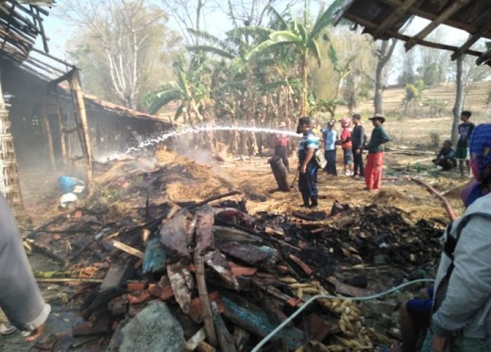 Bakar Kotoran Sapi, Kandang Ikut Hangus