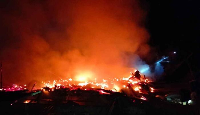 Si Jago Merah Lalap Kandang Ayam di Omben Sampang