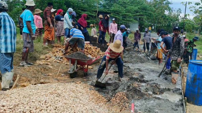 Tak Sabar Tunggu Janji Pemerintah, Warga Robatal Sampang Swadaya Perbaiki Jalan Poros Kabupaten Tak Sabar Tunggu Janji Pemerintah, Warga Robatal Sampang Swadaya Perbaiki Jalan Poros Kabupaten