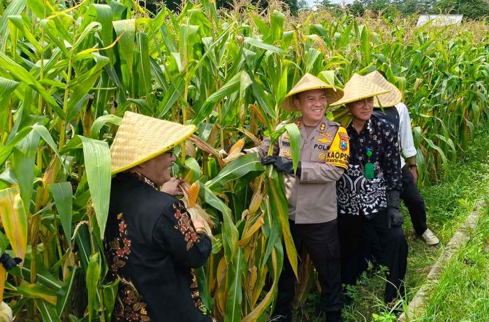 Wujudkan Swasembada Pangan, Polres Blitar Tanam Jagung di Lahan Kosong