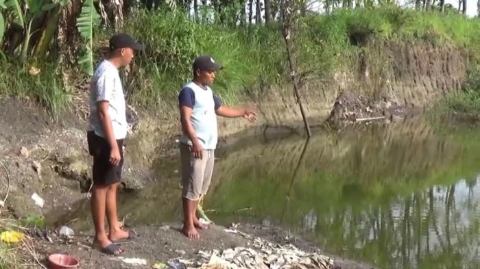 Bocah 10 Tahun Tewas Tenggelam di Danau Bekas Tambang Galian C Ngawi