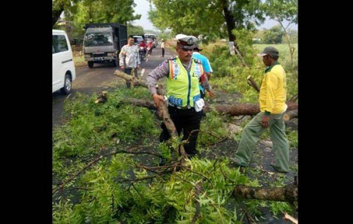 Sepuluh Menit Terjang Ngawi, Puting Beliung Robohkan 5 Tiang Listrik dan 1 Rumah