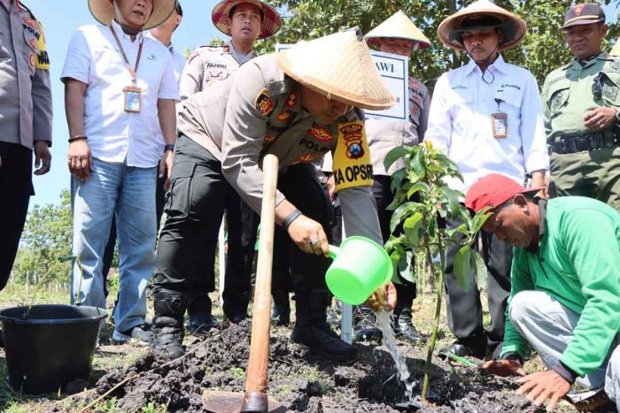 Gandeng Perhutani, Kapolres Ngawi Manfaatkan Hutan Sebagai Lahan Produksi Pangan