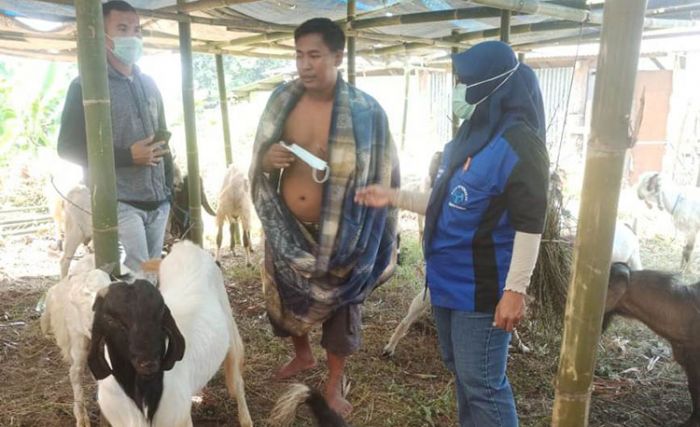 Jelang Idul Adha, Disnak Ketahanan Pangan Kabupaten Pasuruan Sidak Pedagang Hewan Kurban