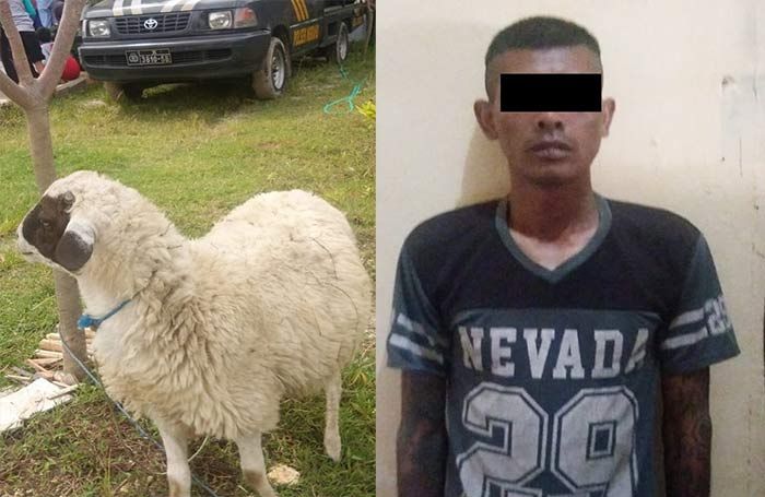 Curi Kambing di Bojonegoro, Warga Magetan 