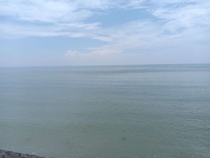 Cuaca Jatim Hari Minggu ini: Awali Februari, BMKG Sebut Potensi Berawan dan Hujan Sepanjang Hari