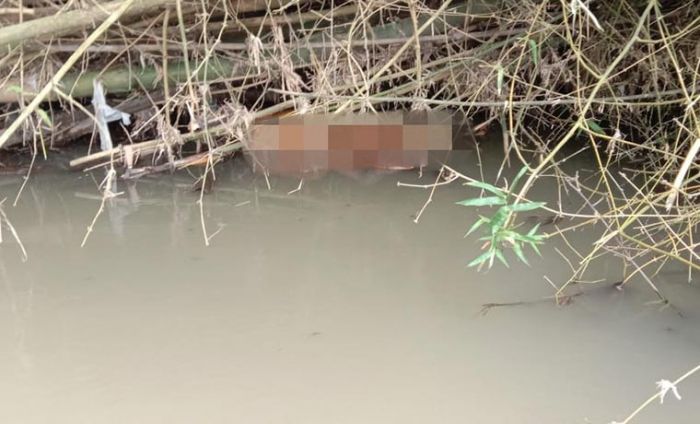 Jasad Wanita Tanpa Identitas Ditemukan Mengapung di Sungai Desa Sumbersari