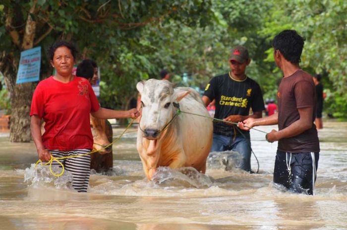 Bojonegoro Darurat Banjir, Ribuan Rumah Terendam, Ratusan Orang Mengungsi