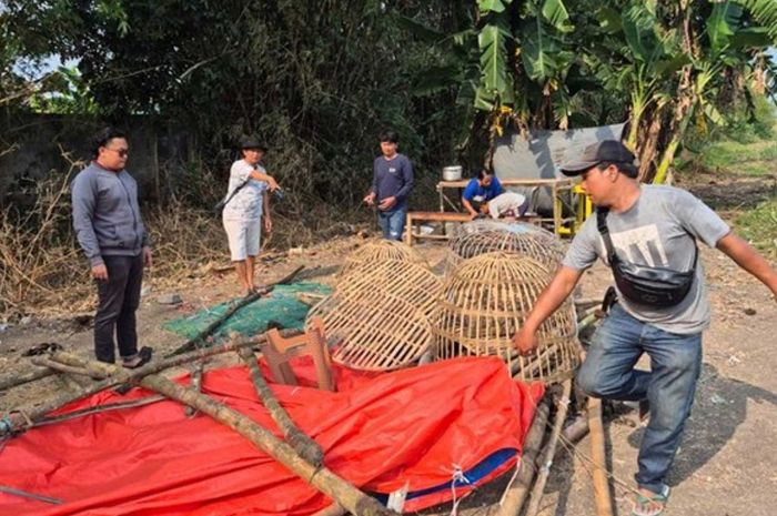 Sabung ayam di Mojokerto, Polisi Amankan 5 Orang dan 18 Ekor Ayam Sabung ayam di Mojokerto, Polisi Amankan 5 Orang dan 18 Ekor Ayam